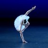 A bare-footed female presenting dancer, in a white tutu and feathered headpiece, evokes the imagery of the classical "Swan Lake" ballet. Her foot is extended far beyond her head in a standing split, and she looks down at her connected hands.
