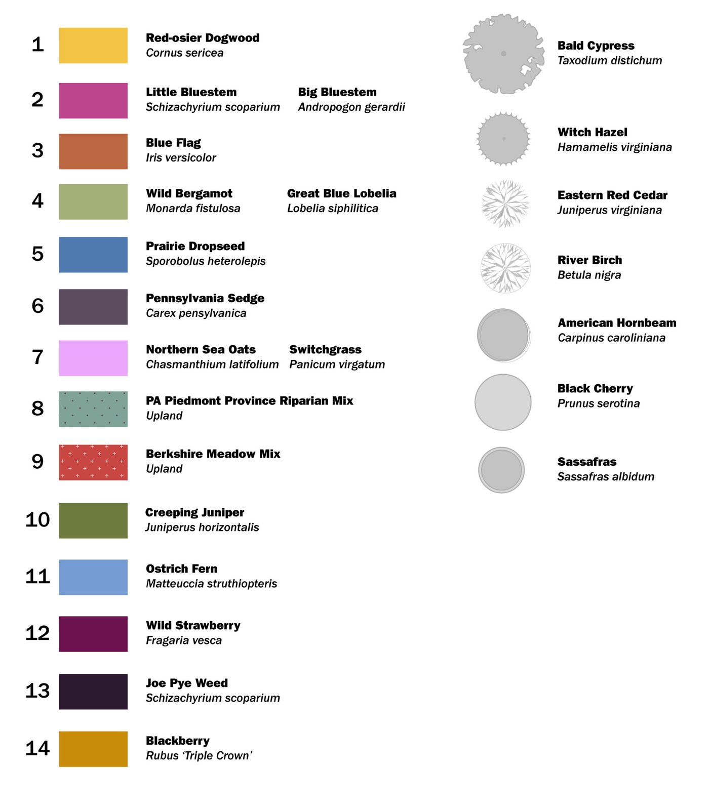 2025-07-17_Jacobs-Pillow_Planting-Zone-Diagram-02-3-scaled