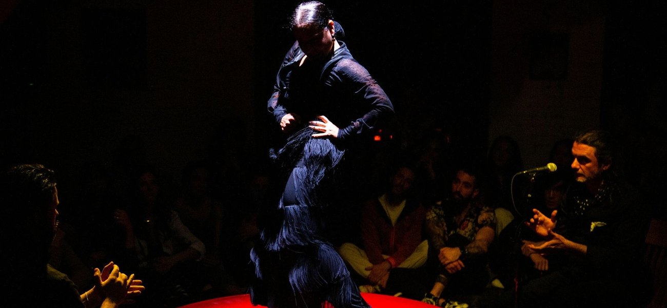 Compañia Nélida Tirado Flamenco; Santiagraphy photo