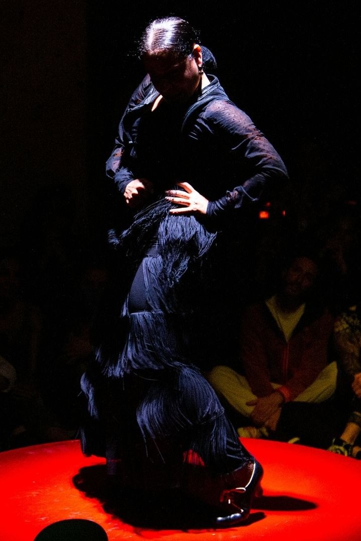 Compañia Nélida Tirado Flamenco; Santiagraphy photo