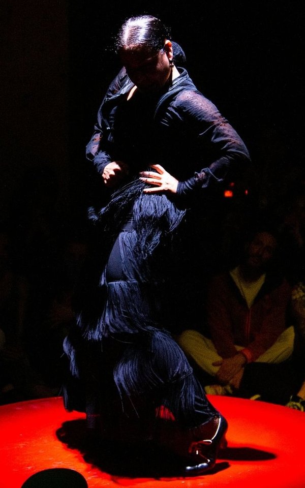 Compañia Nélida Tirado Flamenco; Santiagraphy photo