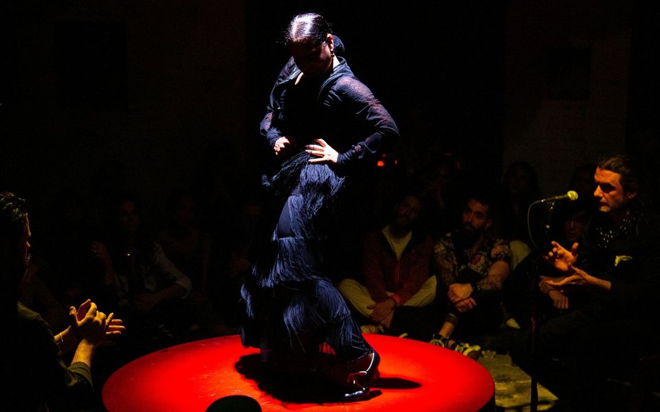 Compañia Nélida Tirado Flamenco; Santiagraphy photo
