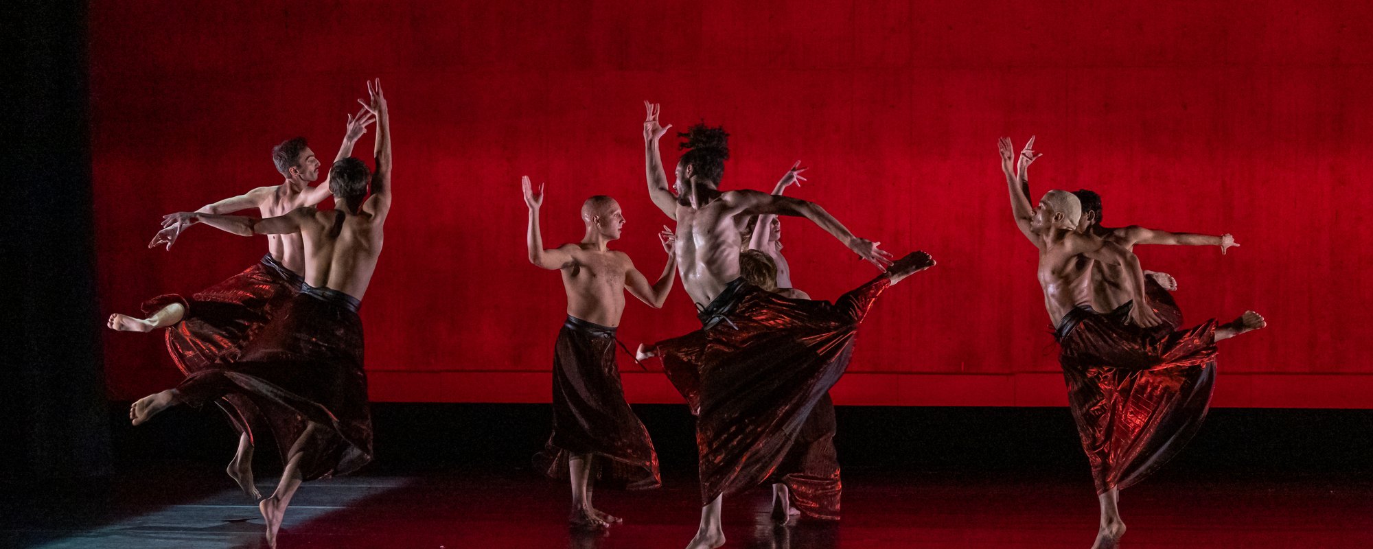 inDANCE in Hari Krishnan's "ROWDIES IN LOVE;" Sandy Aldieri Perceptions photo