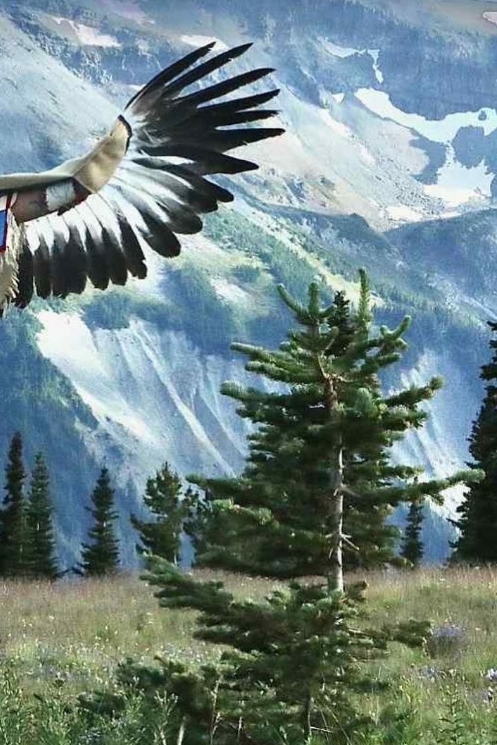 Acosia Red Elk; photo courtesy of artist