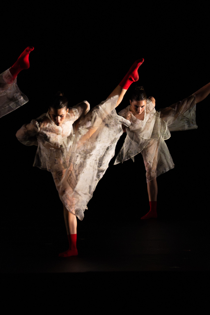 Eisenhower Dance Detroit; Allison Armfield photo