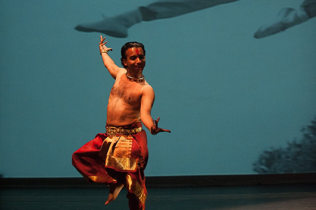 FromTheHorsesMouth_2012cDuggan_04 (1)