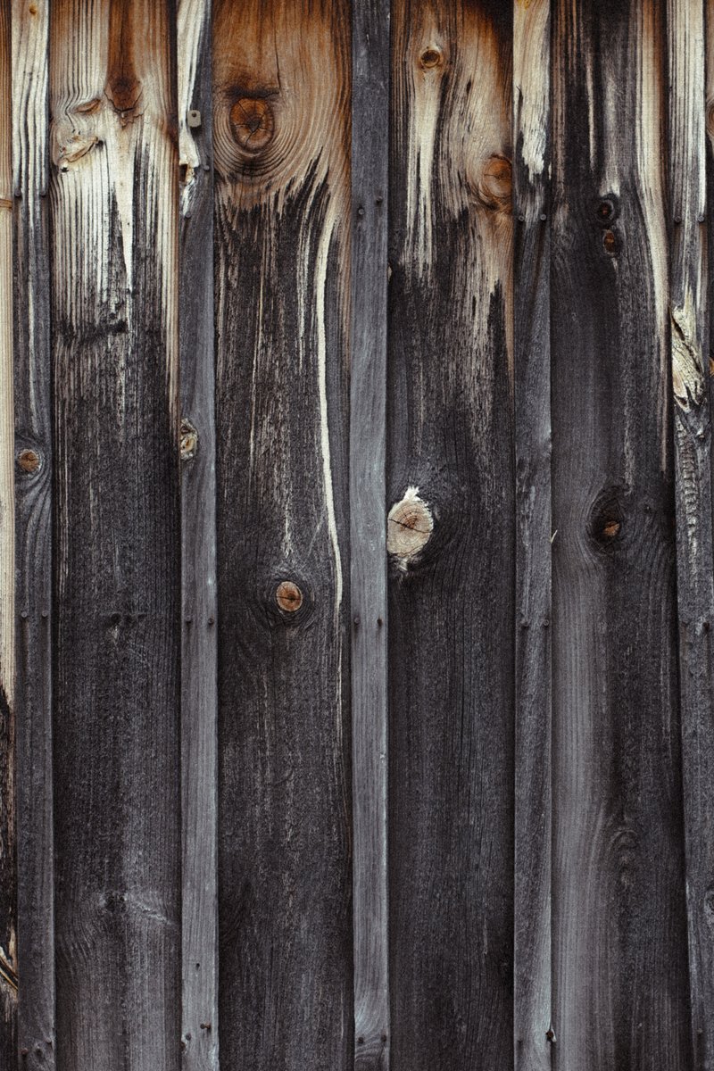 GroundsTextures_2019_pGraceKathrynLandefeld41-4 (2)