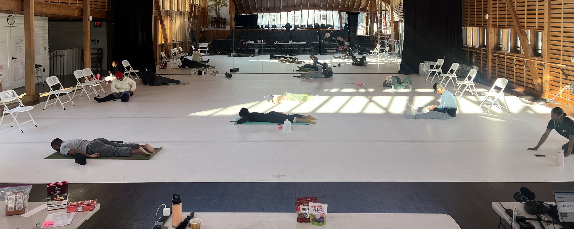 A.I.M in the Pillow Lab; Faith Joy Mondesire photo