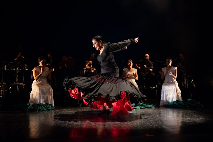 Compañia Nélida Tirado Flamenco; Maria Baranova photo