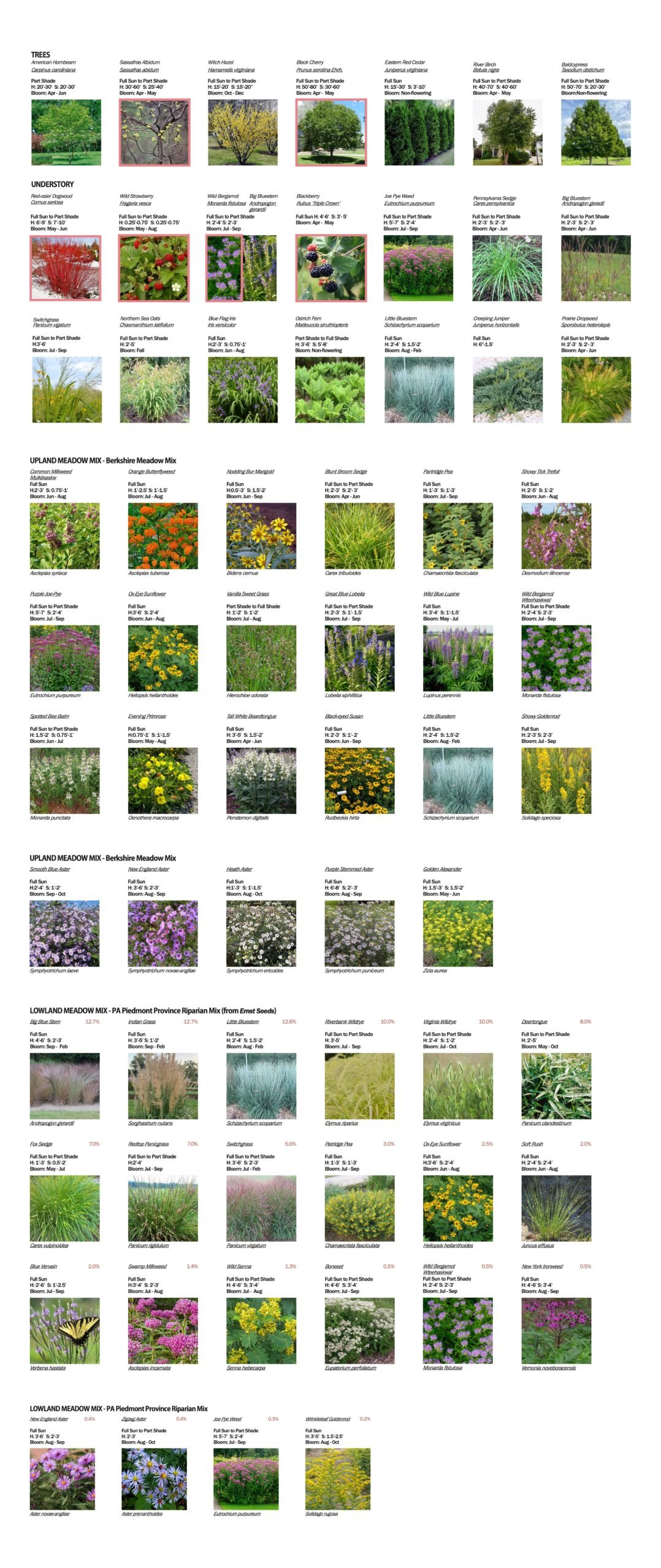 Indigenous-Garden-Planting-Palette-5-page-pdf-combined-as-one-graphic-scaled