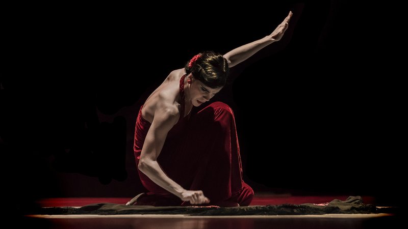 MG_IreneRodriguezCompania_Piso_pAlfredoCannatello