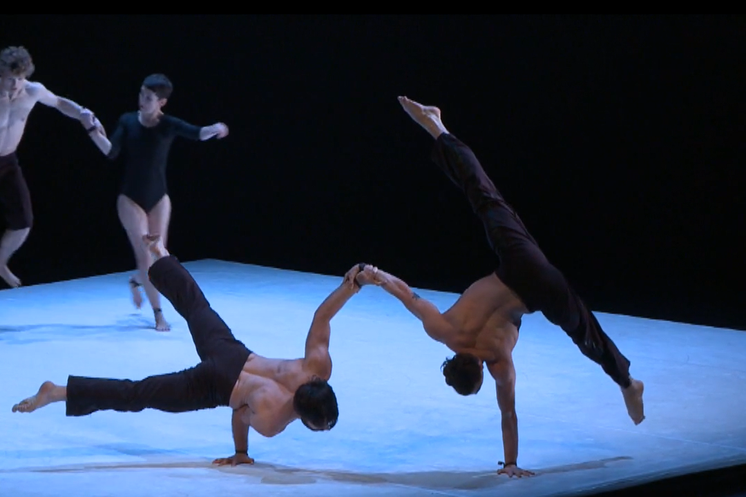 Circa Contemporary Circus at Jacob's Pillow in 2014