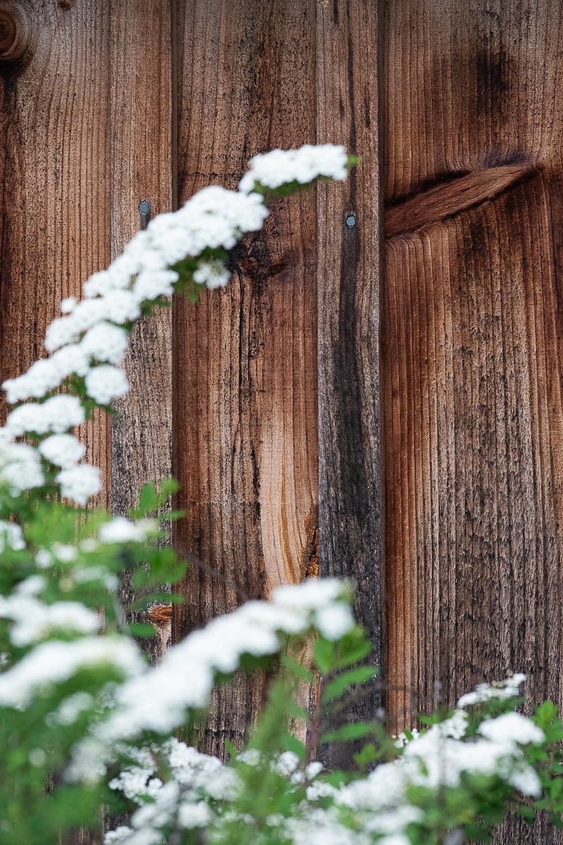 TEXTURES_2019_ChristopherDuggan_015-2270x1277-1